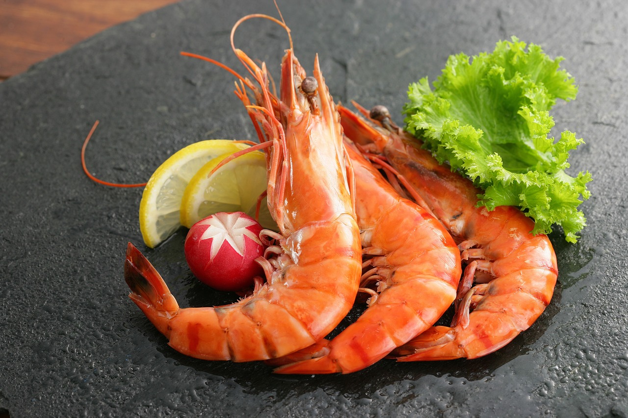 shrimp, seafood, nature-4952610.jpg